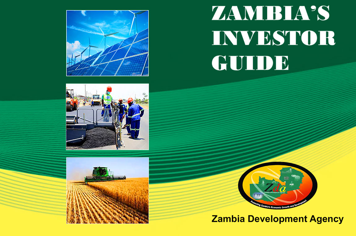 best business plan in zambia